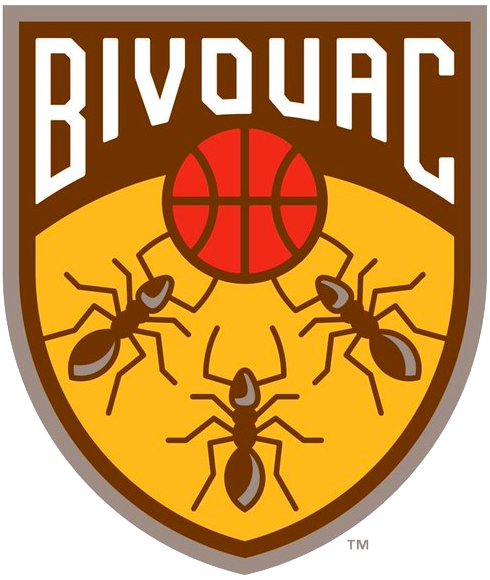 Bivouac 2019-Pres Primary Logo iron on transfers for clothing